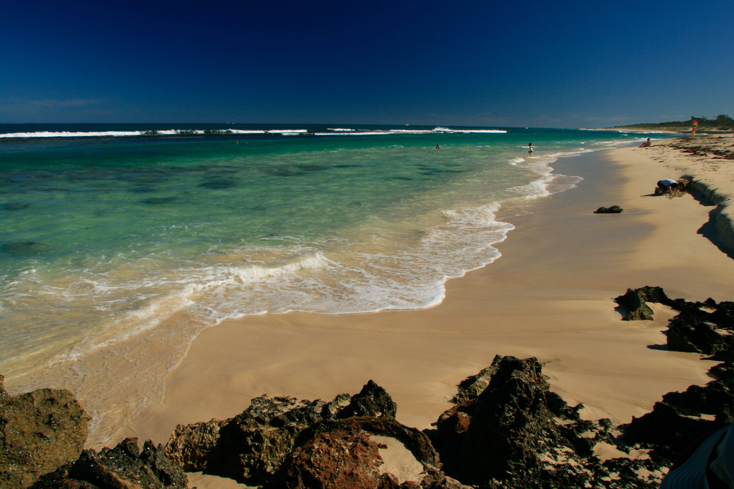 Private Photographic Day Tour of Yanchep and Pinnacles National Parks