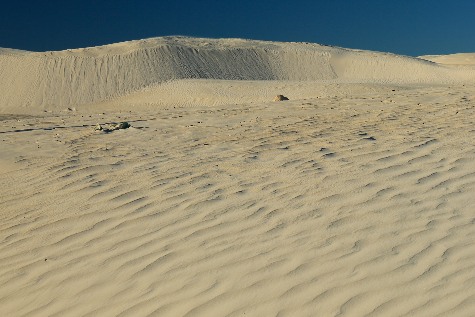 Private Photographic Day Tour of Yanchep and Pinnacles National Parks