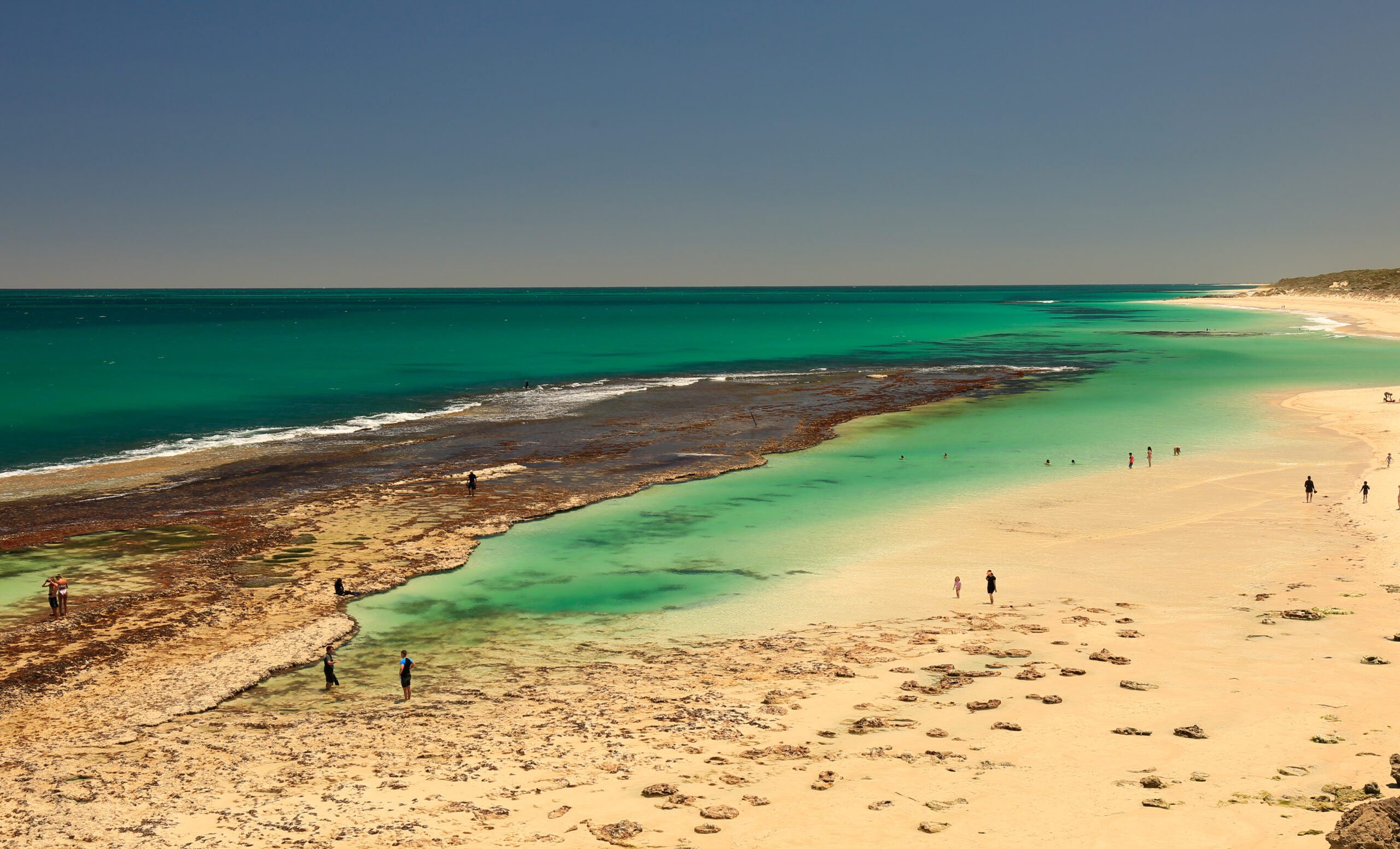 Private Photographic Day Tour of Yanchep and Pinnacles National Parks