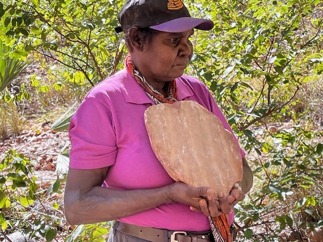 Darwin to Bungles Day tour