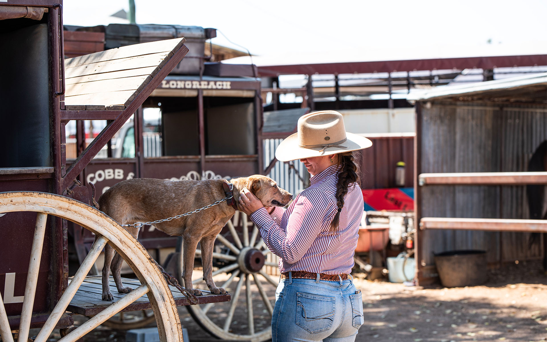 Cobb and Co Stagecoach Experience