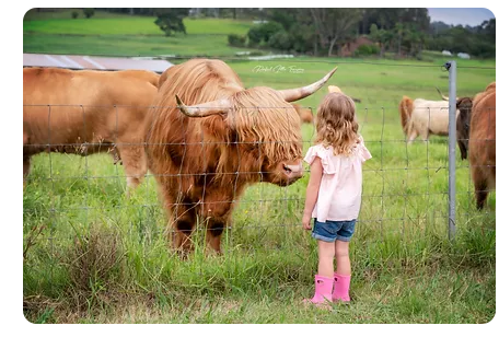 Bon Rean Highlands Farm Experience