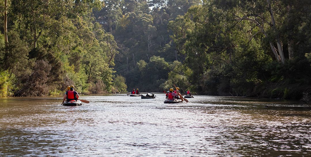 Reimaging Birrarung: Design Concepts for  2070 @Yarra Bend Park Sunrise or Sunset.