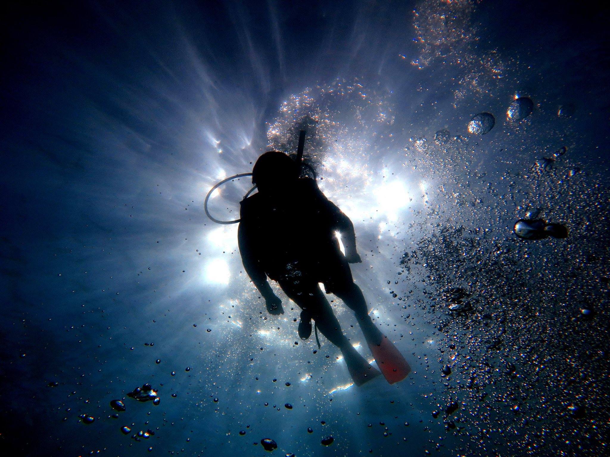 2-Tank Scuba Tour - Whitsunday Islands