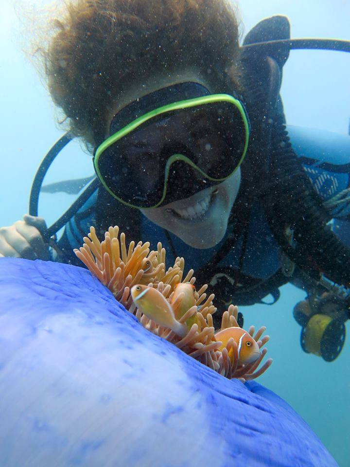 2-Tank Scuba Tour - Whitsunday Islands