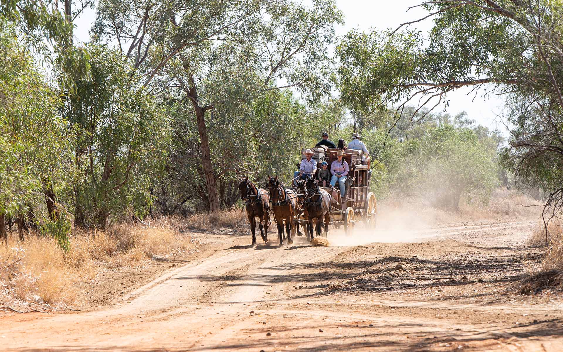 Cobb and Co Stagecoach Experience