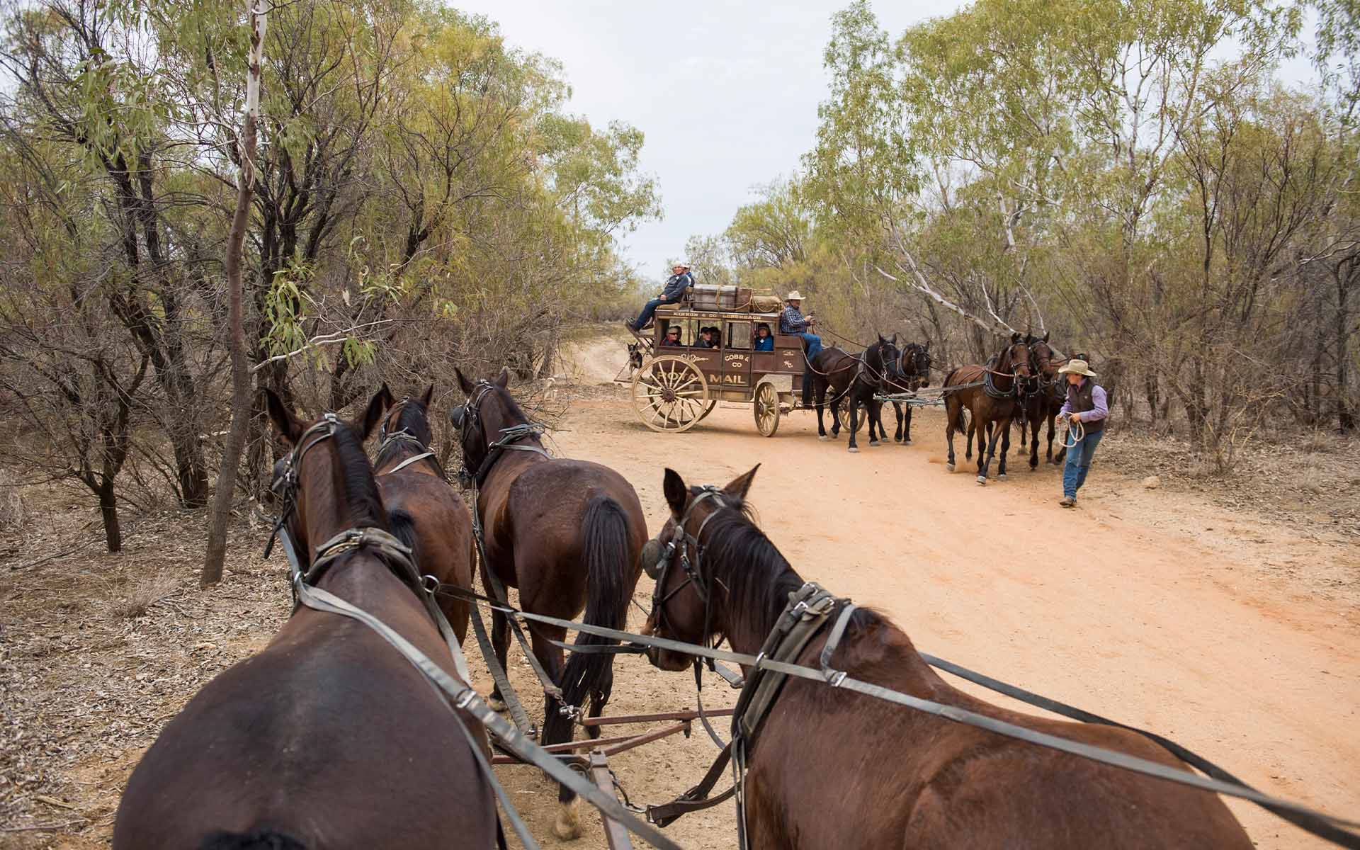 Cobb and Co Stagecoach Experience