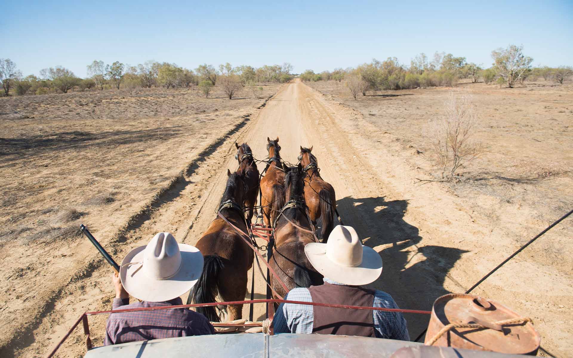 Cobb and Co Stagecoach Experience