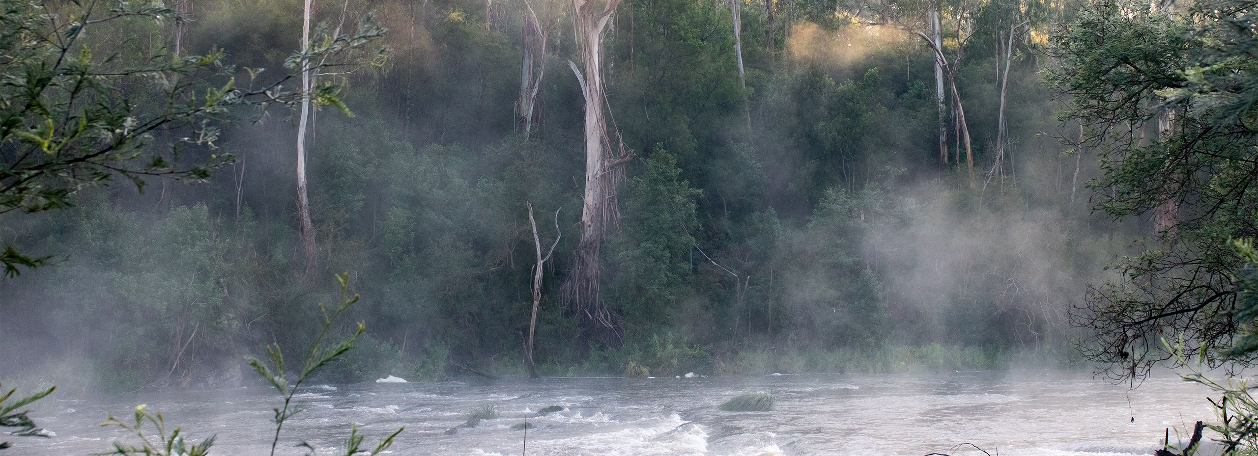 Learn to dance with the Birrarung (Yarra)