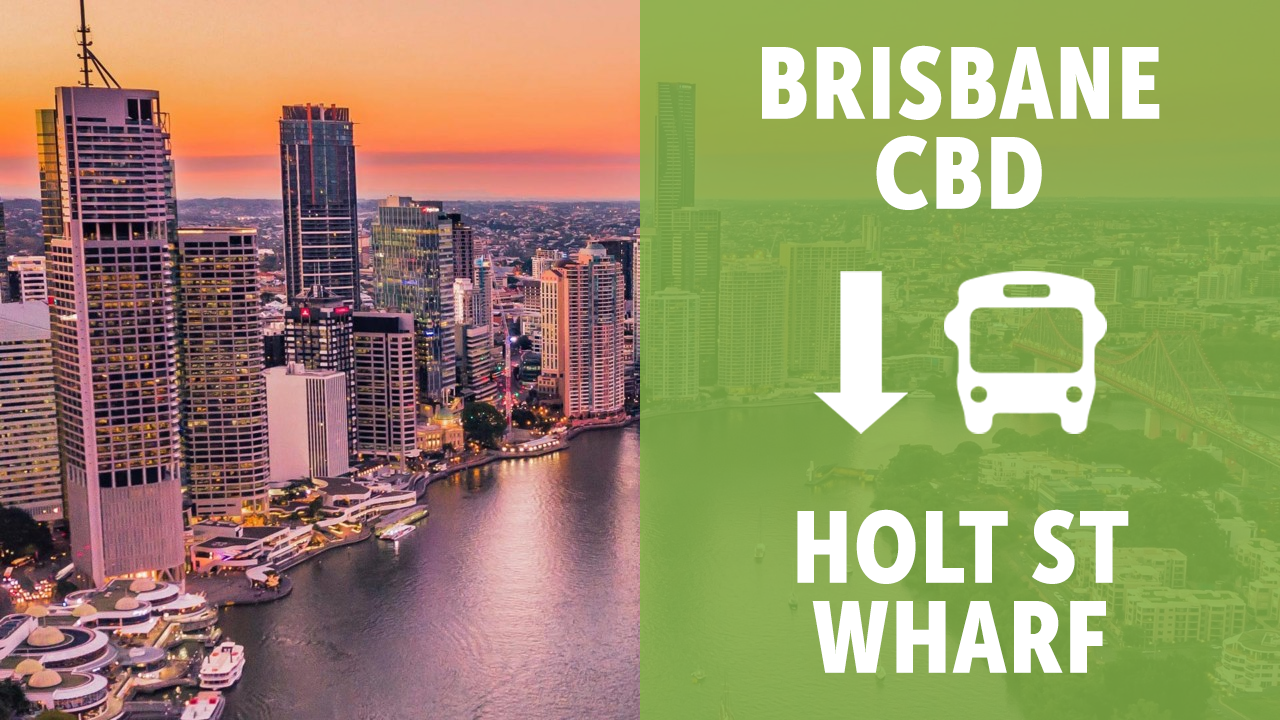 BRISBANE: TANGALOOMA SHUTTLE FROM CBD TO HOLT ST WHARF