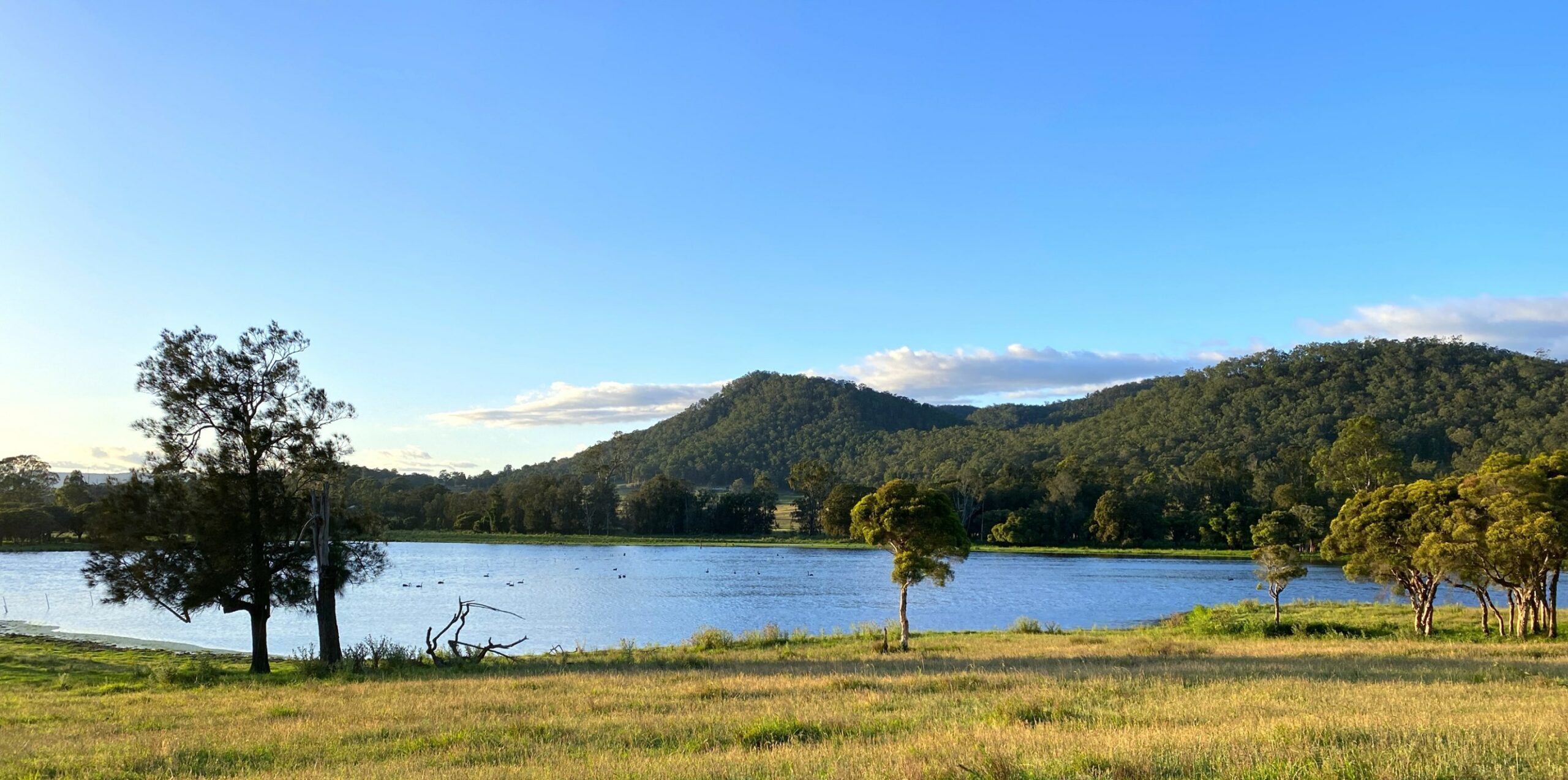 New Gokula Farm, Cessnock & Newcastle Day Tour from Sydney