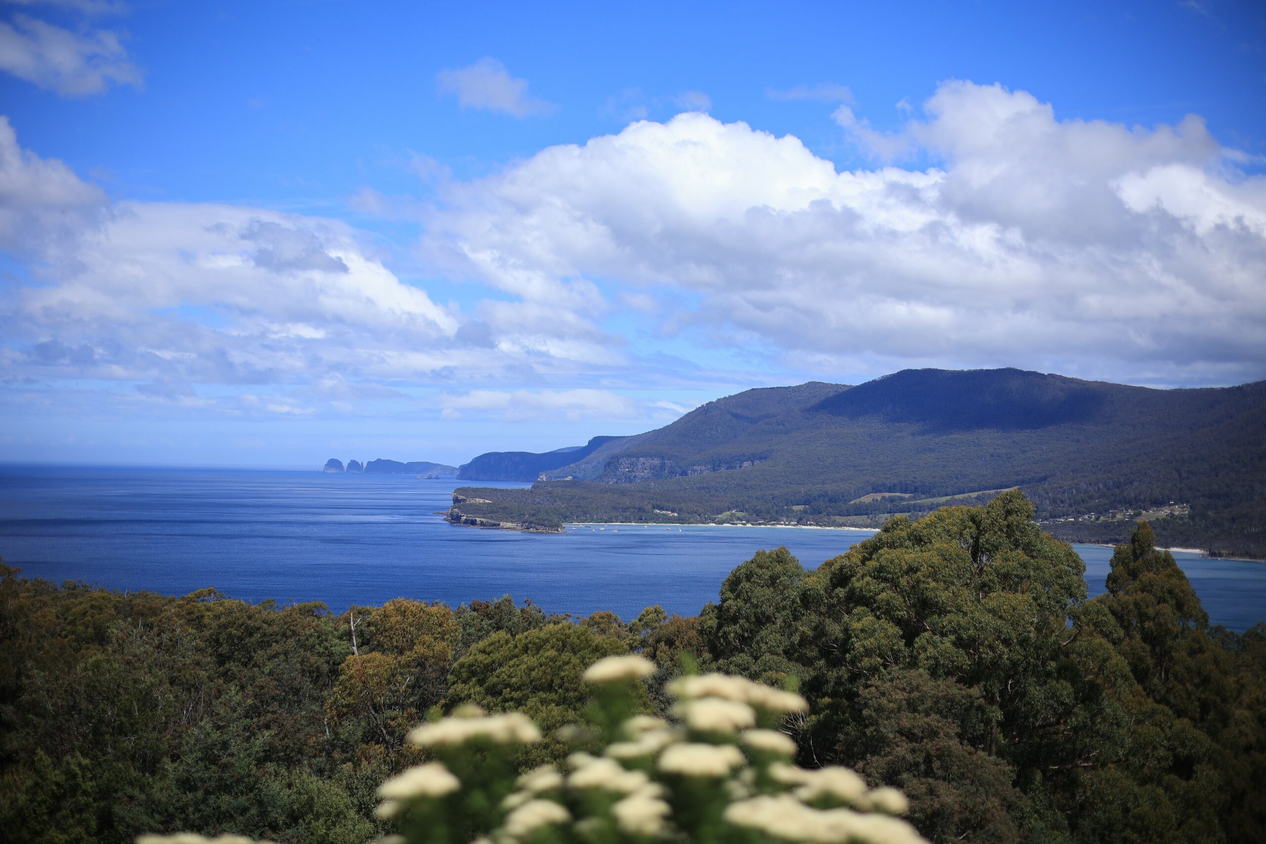 Tasman Peninsula Eco -Tour Escapes from Hobart