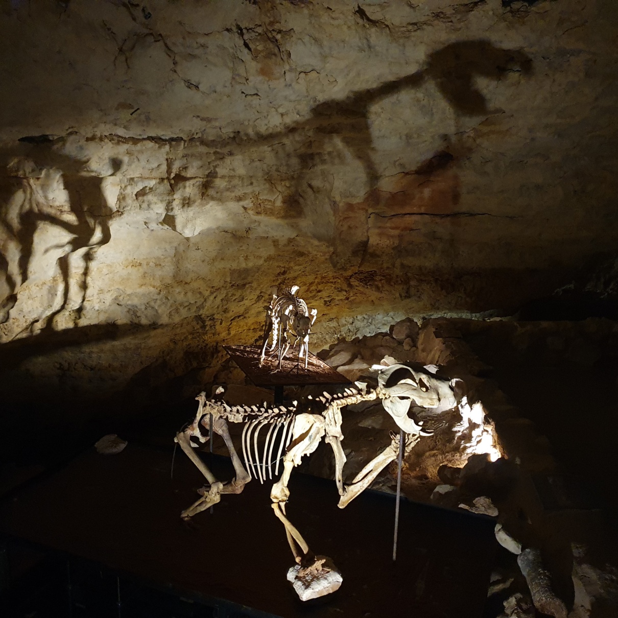 Heritage & Hidden Treasures: Naracoorte Caves & Yallum Park Private Tour