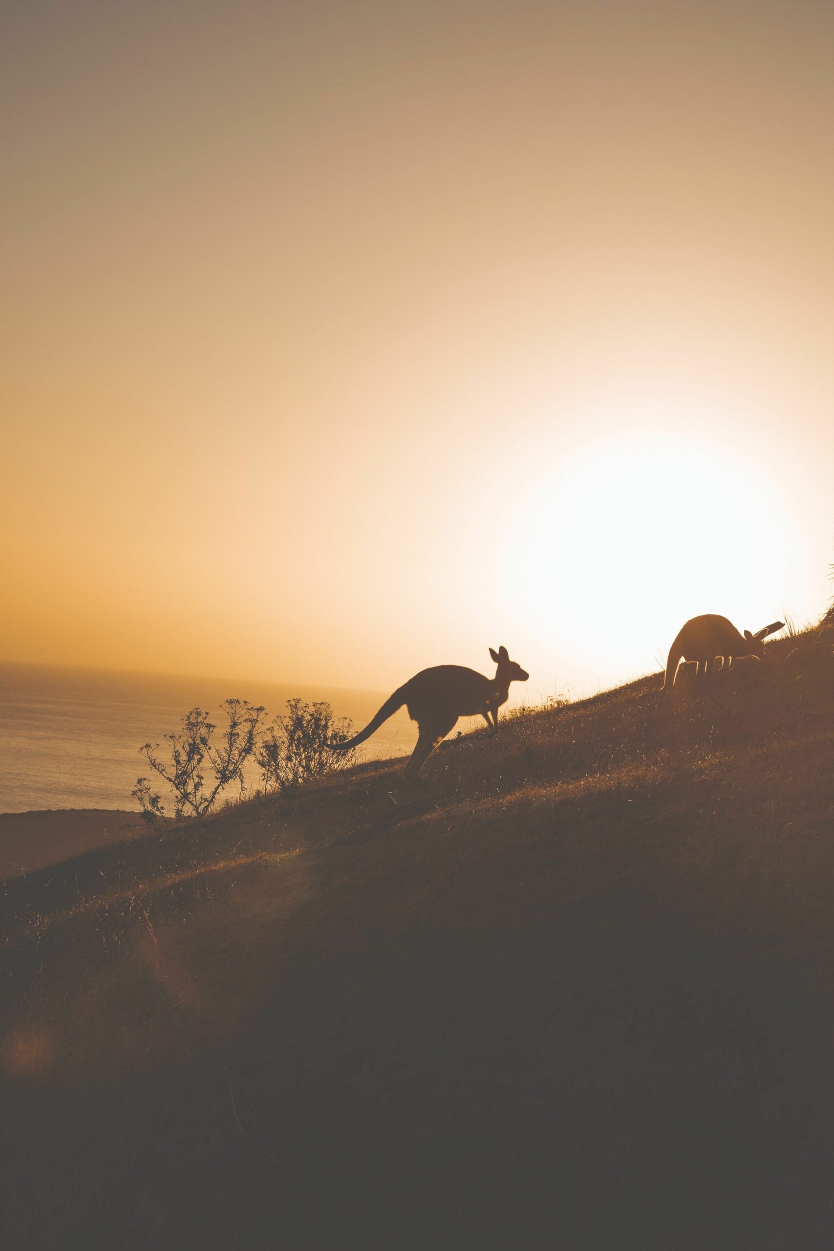 Deep Creek 4WD and Sunset Native Food Experience (self-drive)