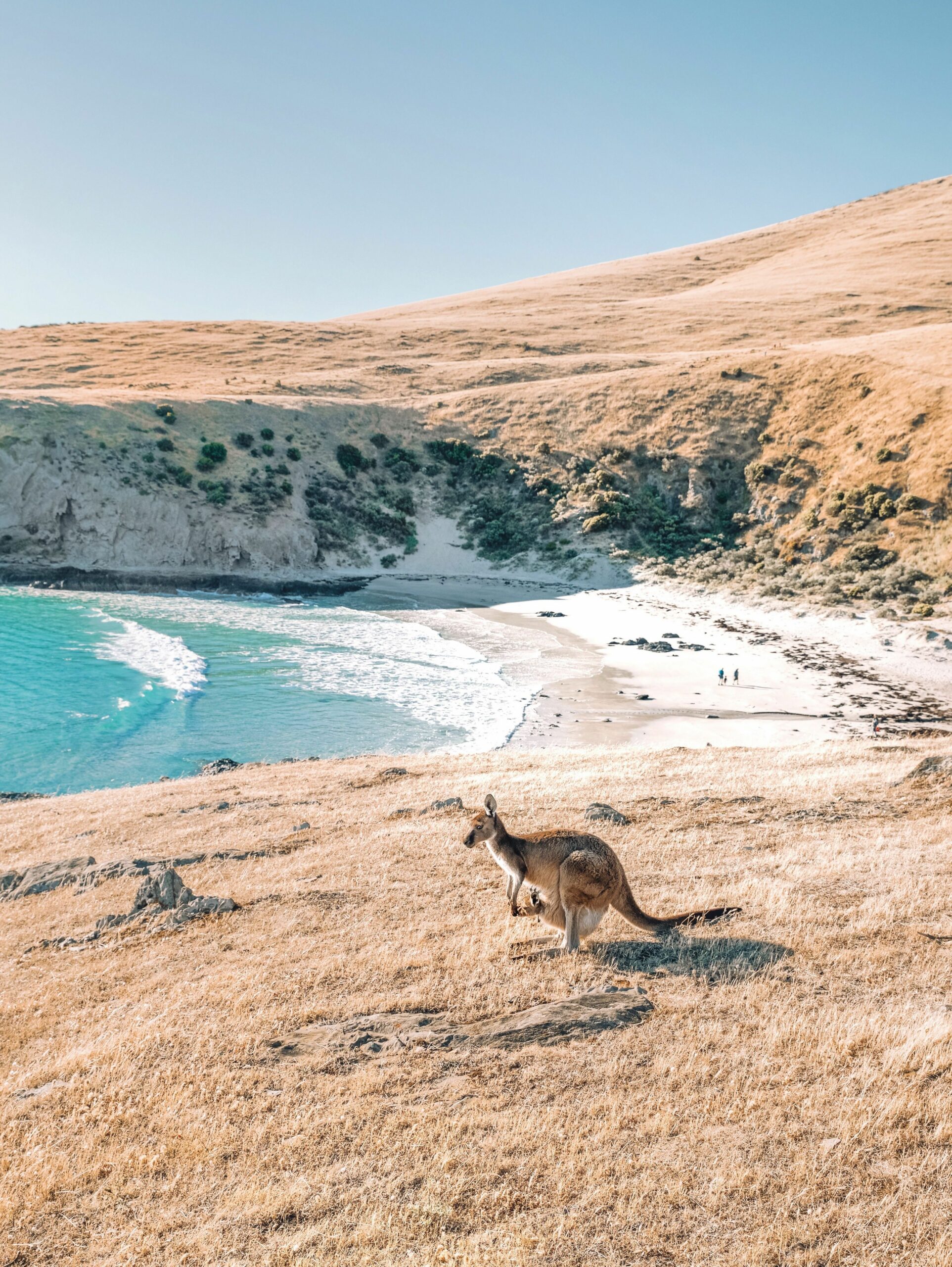 Deep Creek 4WD and Sunset Native Food Experience (4 Hours)