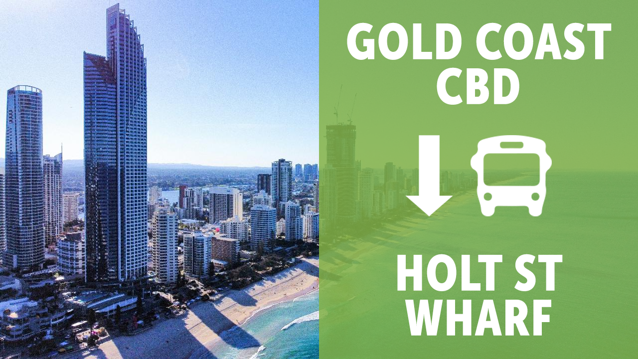 GOLD COAST: TANGALOOMA SHUTTLE FROM CBD TO HOLT ST WHARF