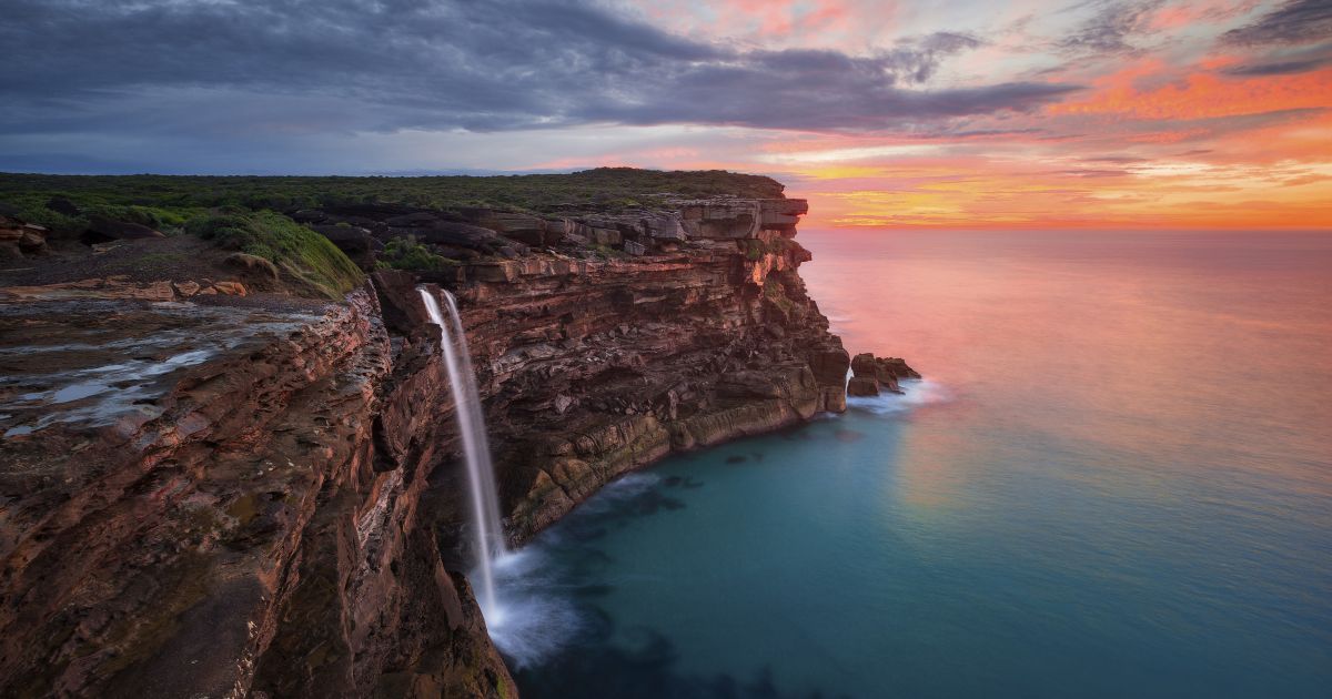 Jervis Bay Whale Watching with Kiama & Grand Pacific Drive From: Sydney (Private)