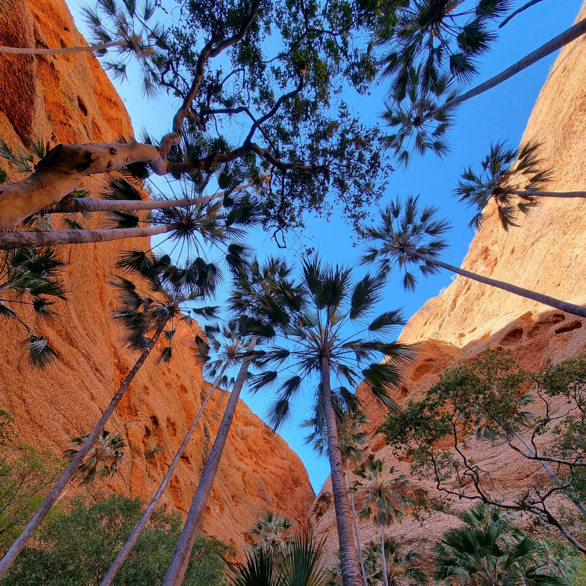 Broome to Purnululu (Bungles) Overnight