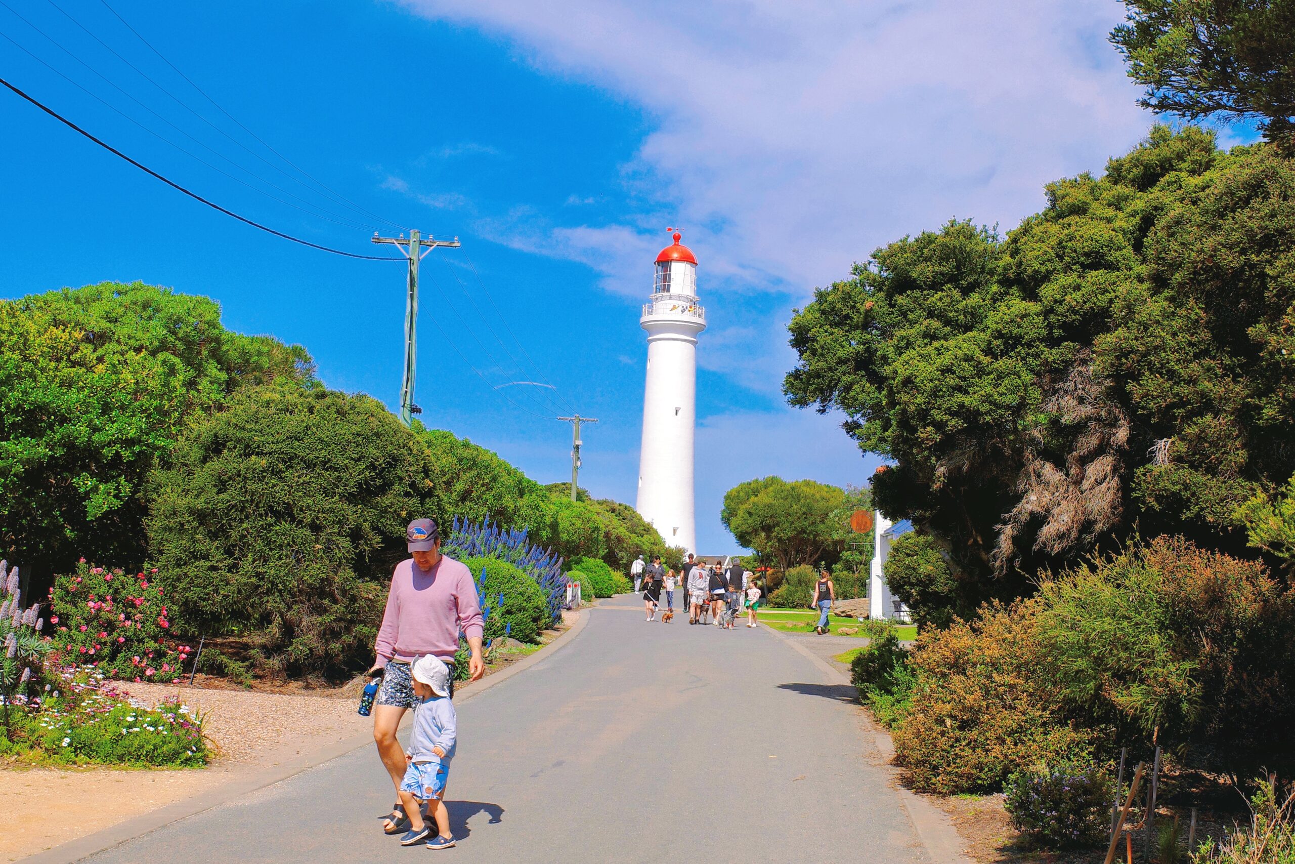 From Melbourne Hotel Pick-Up: A Boutique Coastal Great Ocean Escape Tour