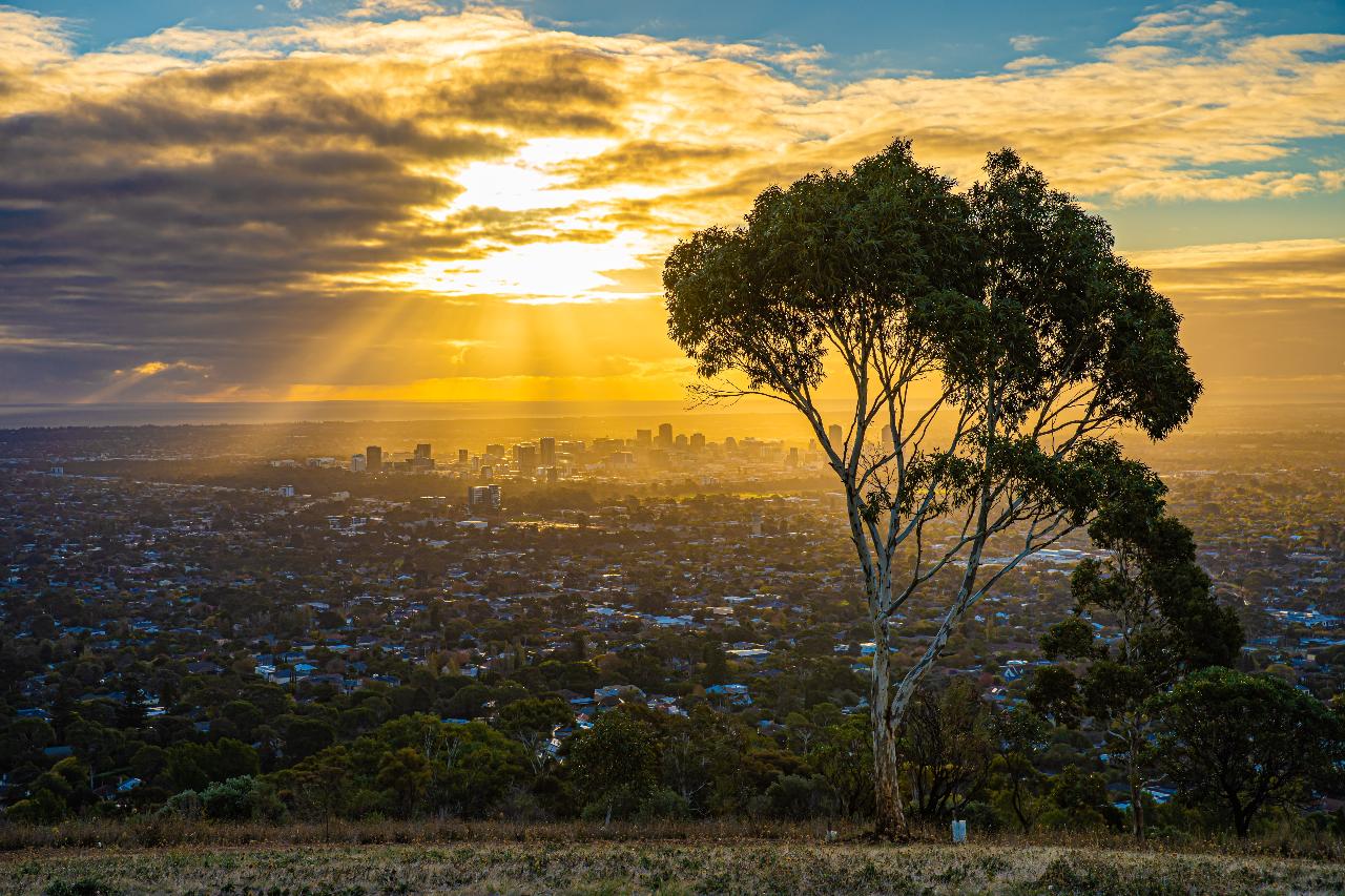 A Taste of the Adelaide Hills Phone Photography Tour