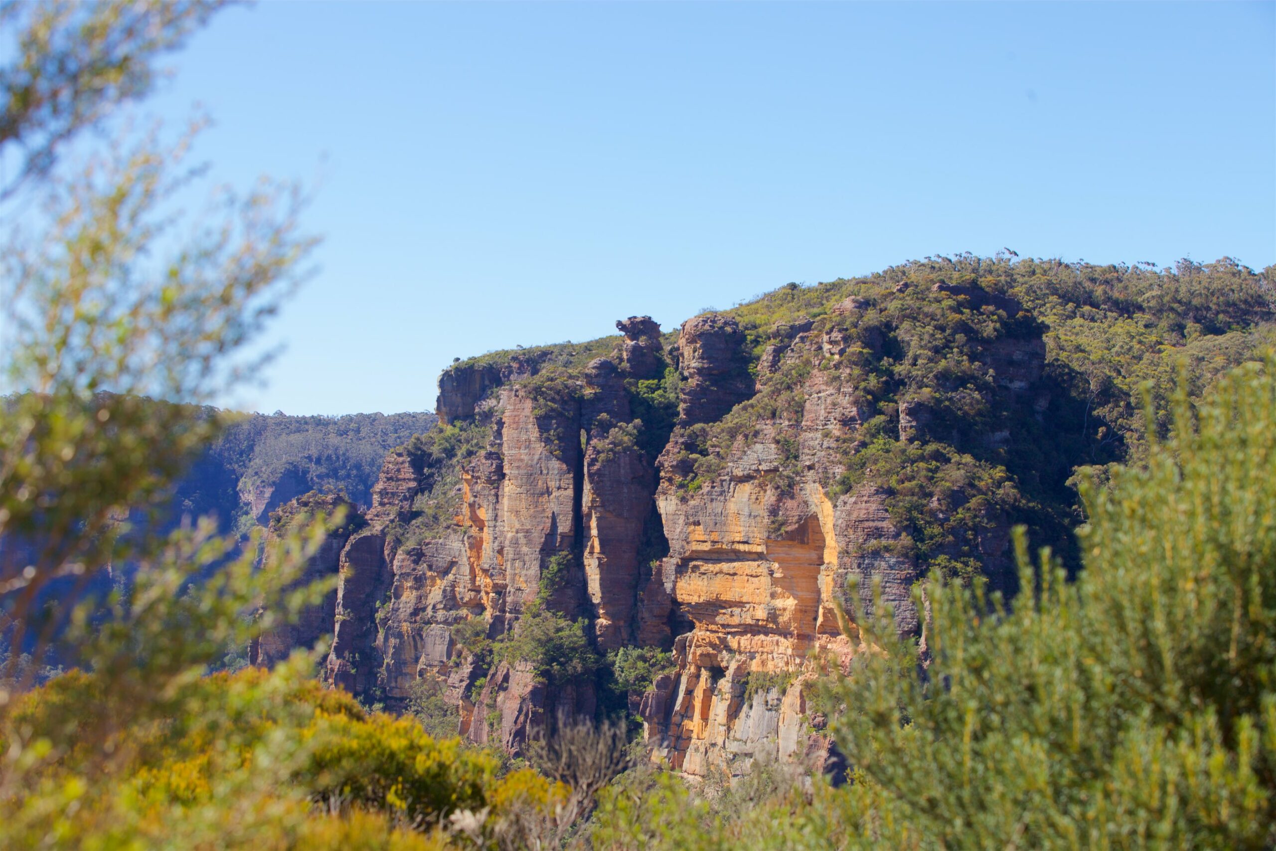 Luxury Blue Mountains Mercedes Escape Tour