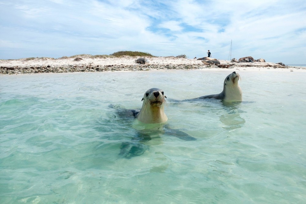 CARNAC ISLAND ECO TOUR