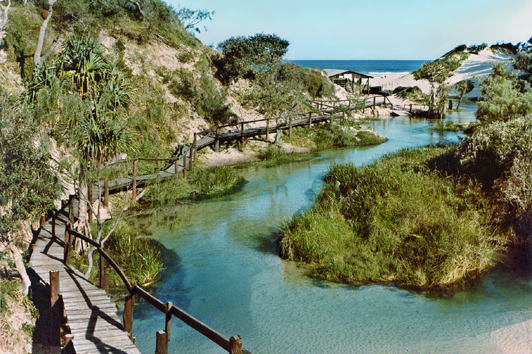 Whales & Fraser Island Trails (Peak Season)