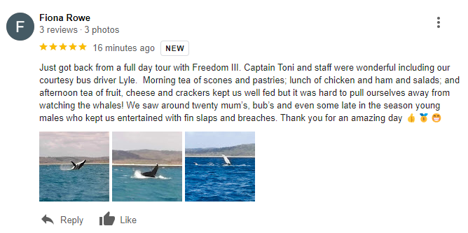 Freedom 3/4 Day Whale Watch Tour - spend more time with the whales