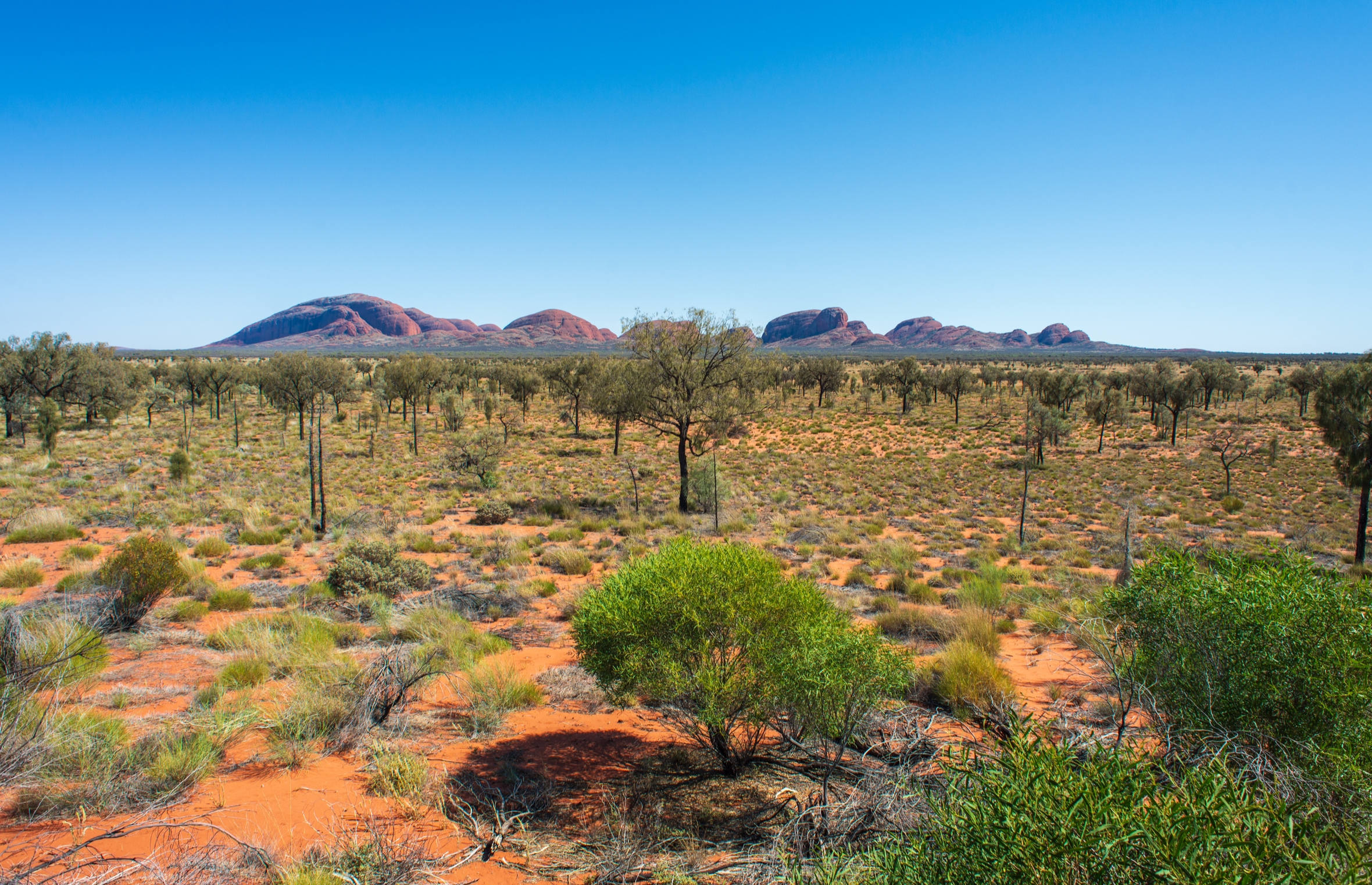 Going Outback Tour - Mens only.