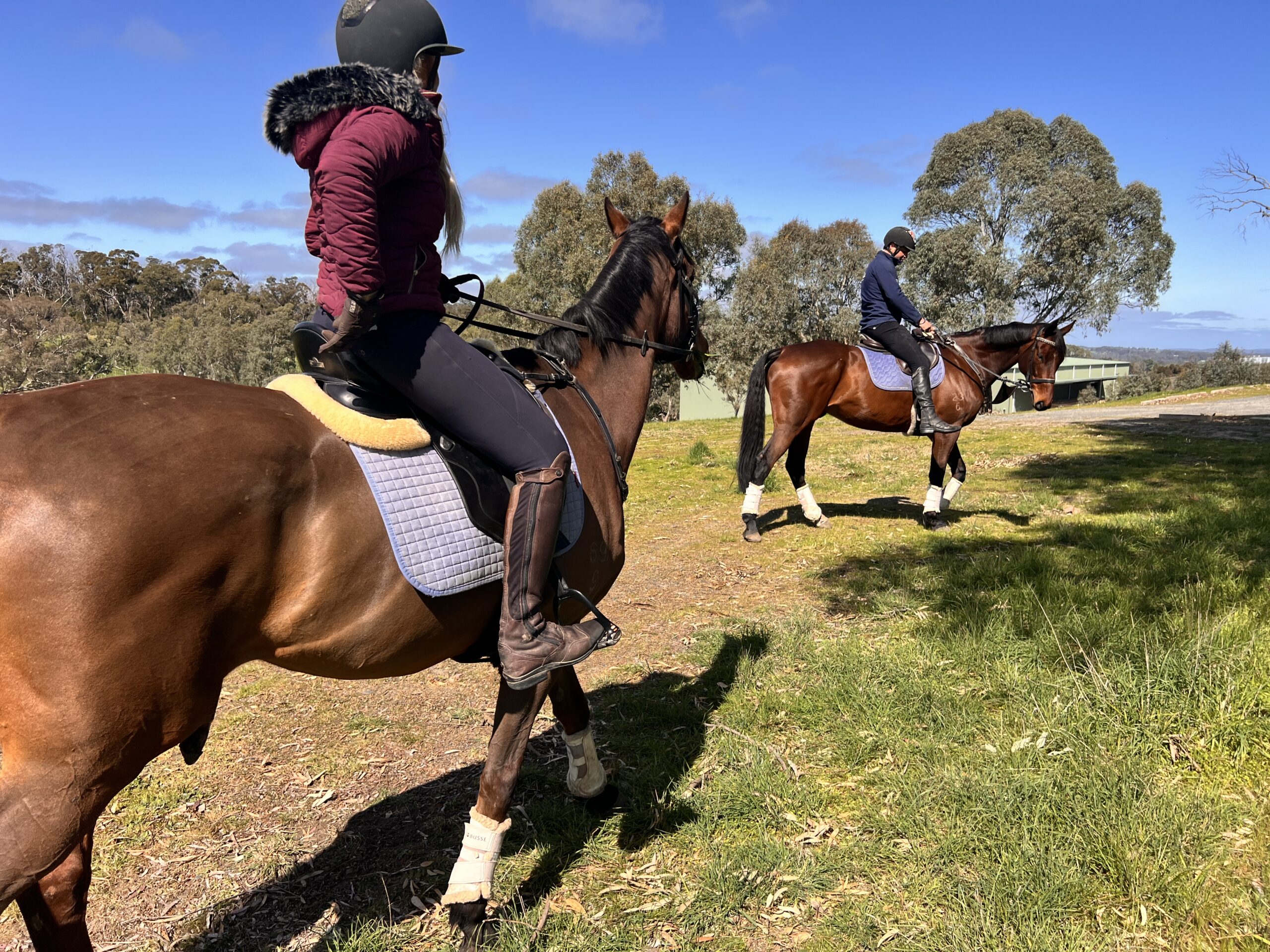 Horse Trail Ride & Tasting Experience at Petaluma (TC)