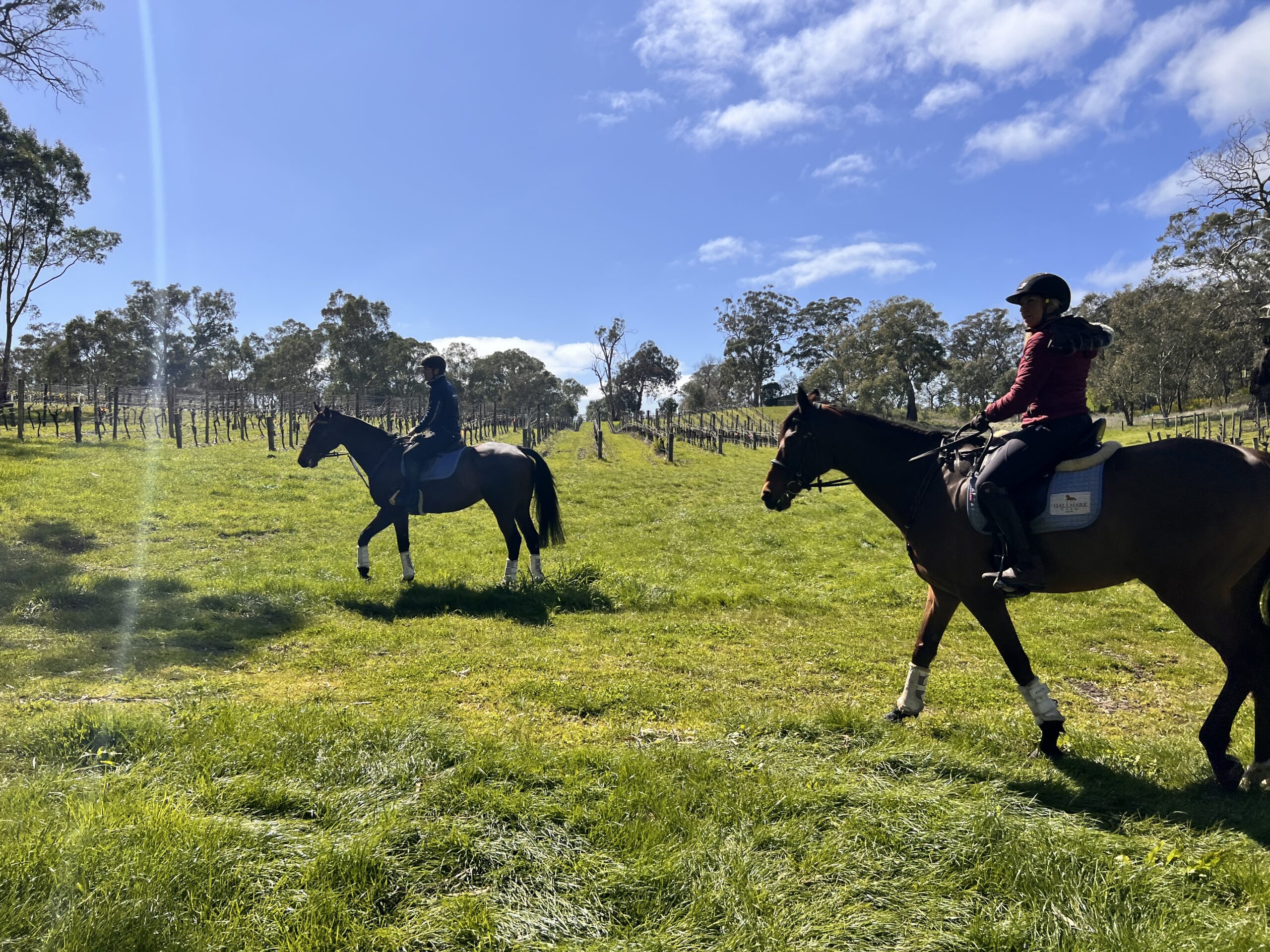 Horse Trail Ride & Tasting Experience at Petaluma (TC)