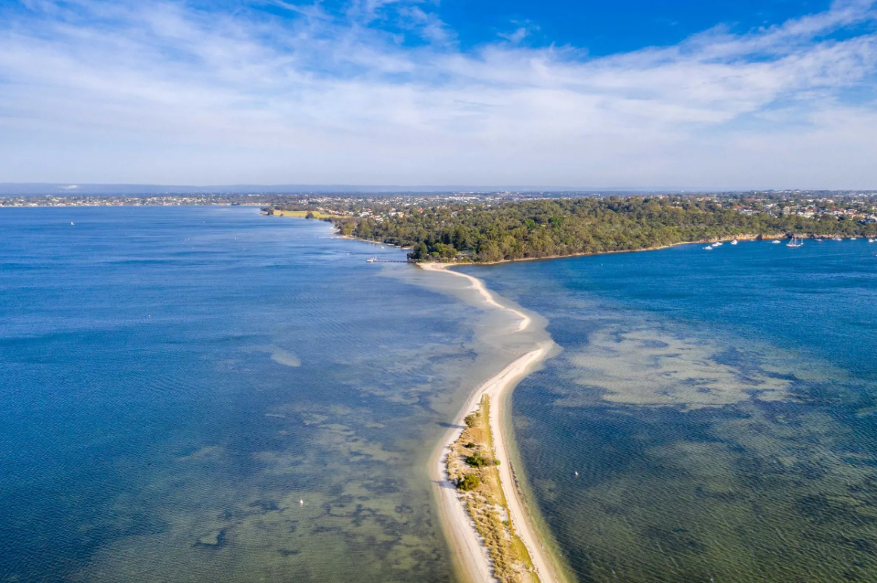 90 MINUTE SWAN RIVER WILDLIFE ECO TOUR