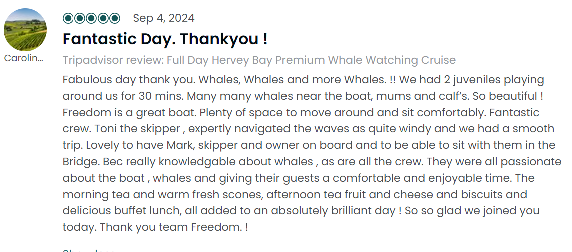 Freedom 3/4 Day Whale Watch Tour - spend more time with the whales