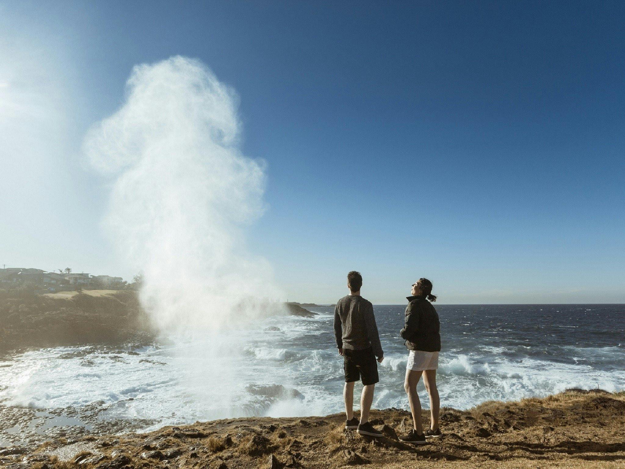 Jervis Bay Whale Watching with Kiama & Grand Pacific Drive From: Sydney (Private)