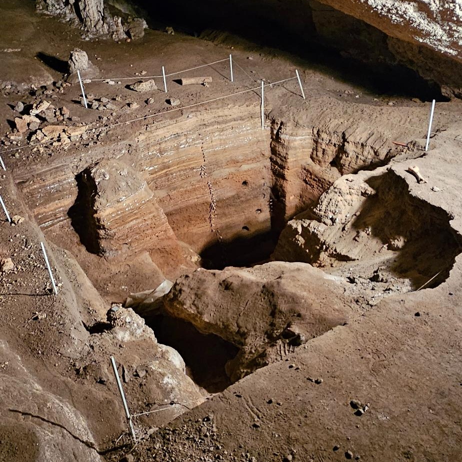 Heritage & Hidden Treasures: Naracoorte Caves & Yallum Park Private Tour