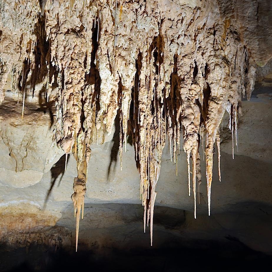 Heritage & Hidden Treasures: Naracoorte Caves & Yallum Park Private Tour