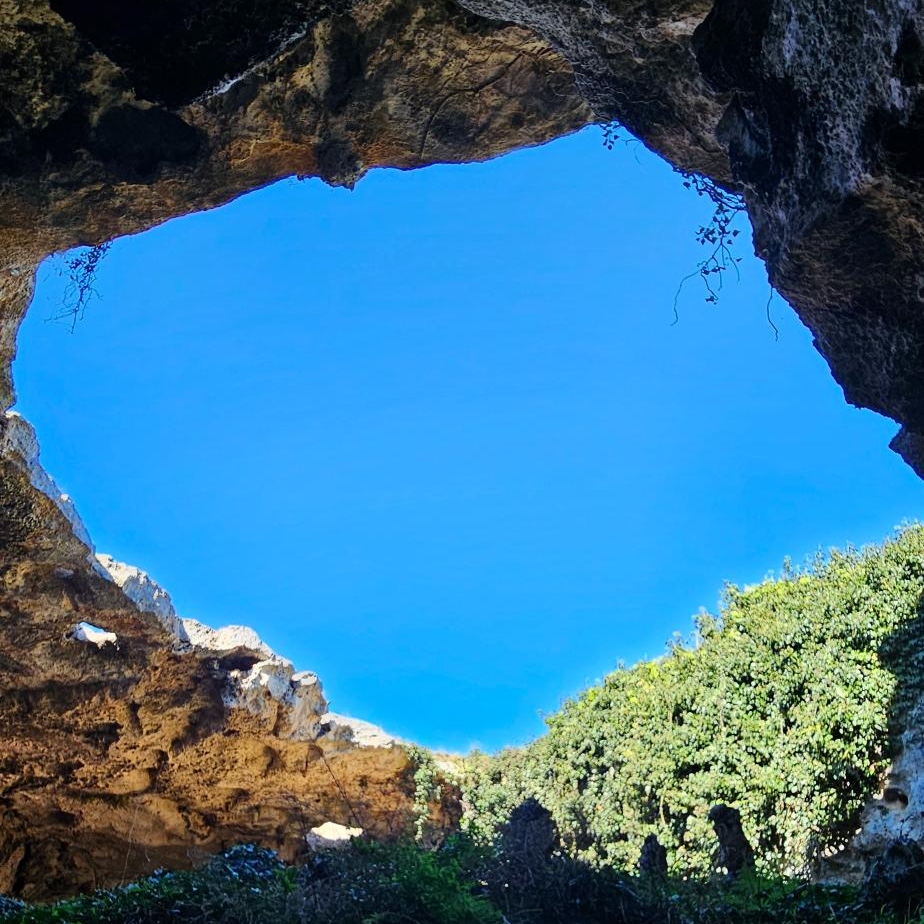 Heritage & Hidden Treasures: Naracoorte Caves & Yallum Park Private Tour