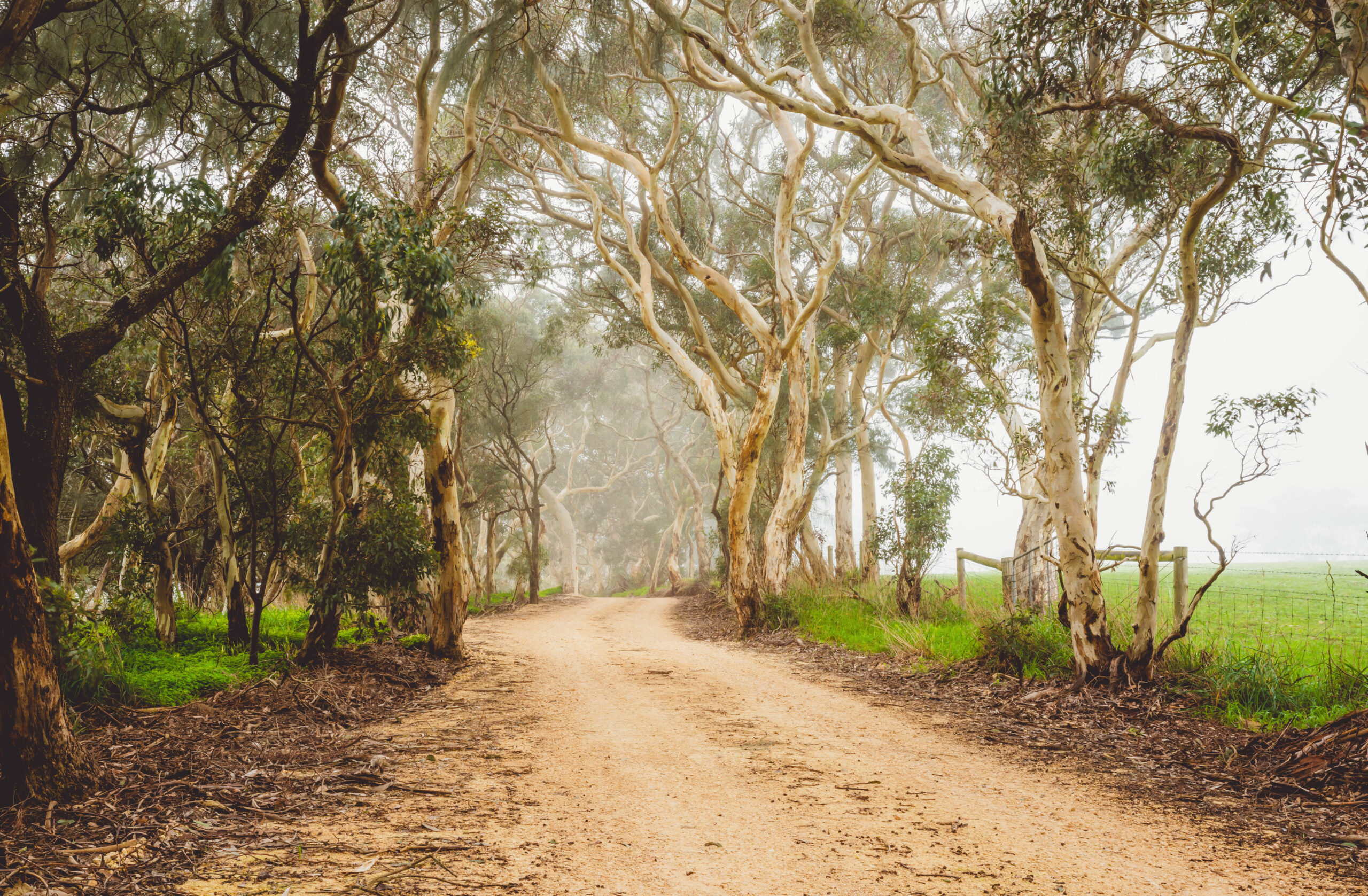 South Australia Wild Coast Phone Photography Day Tour (Fleurieu Peninsula)