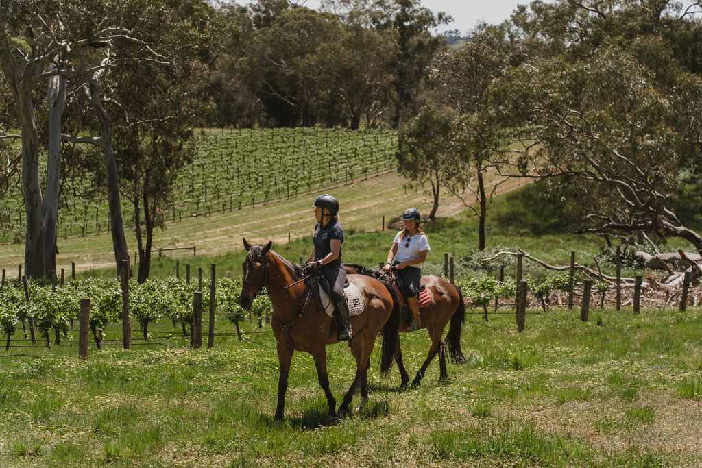 VIP Private Horse Trail Ride & Lunch with Megan Jones at Petaluma (TC)