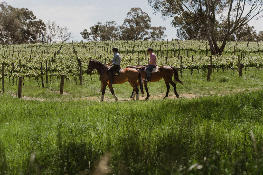 Horse Trail Ride & Tasting Experience at Petaluma (TC)