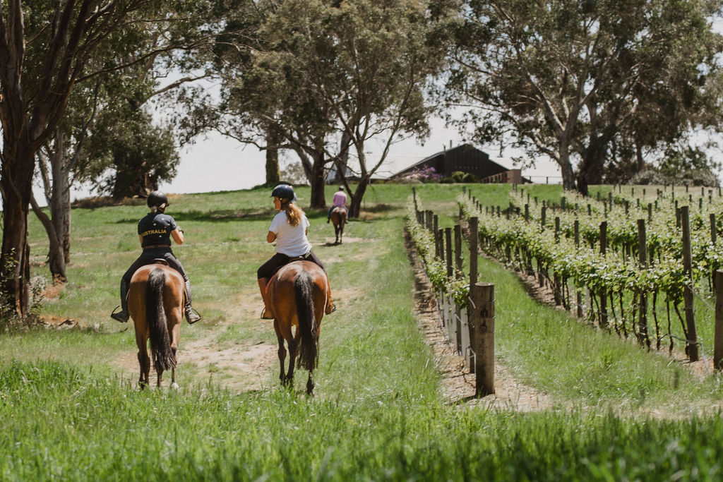 VIP Private Horse Trail Ride & Lunch with Megan Jones at Petaluma (TC)