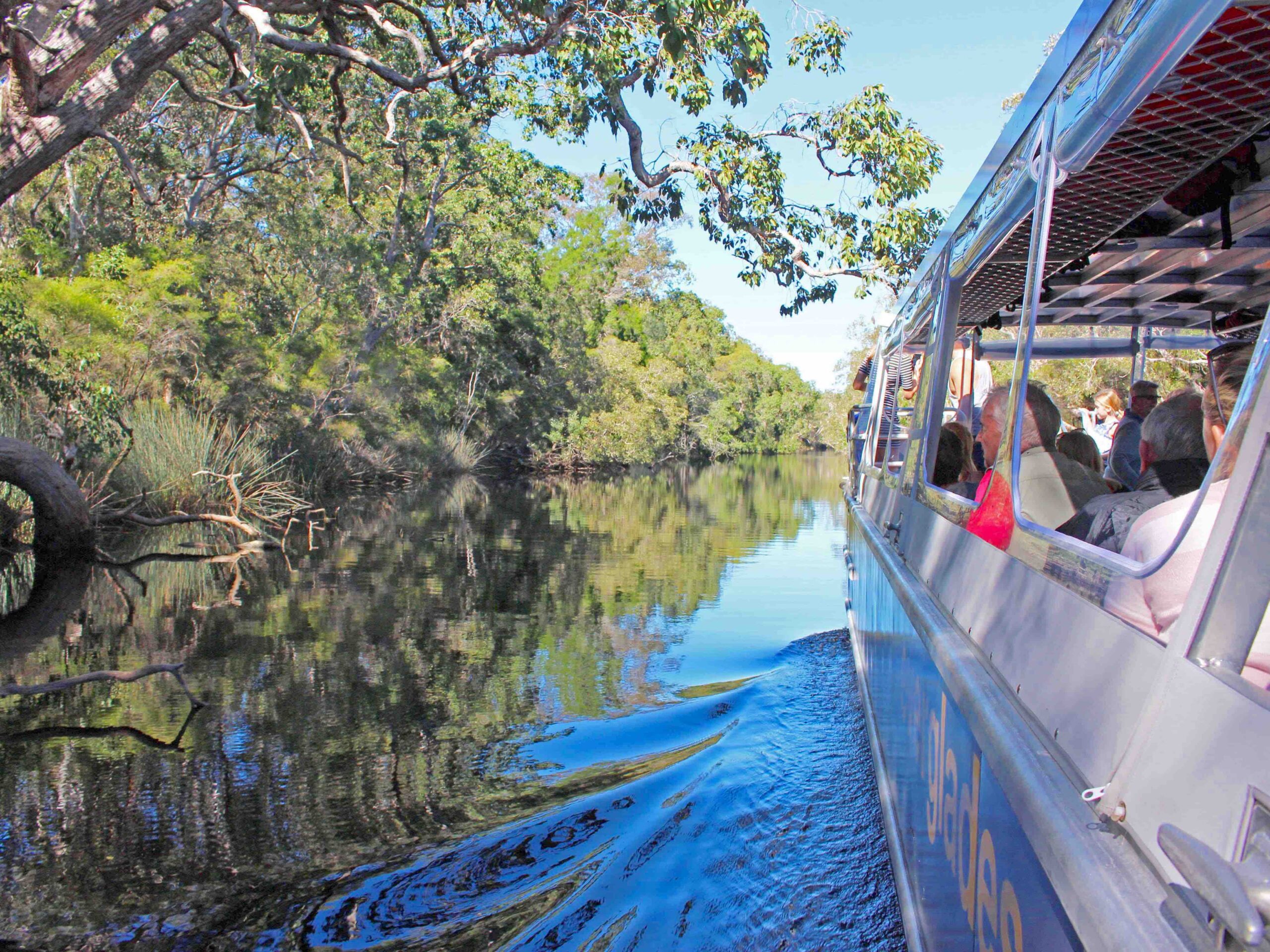 Noosa Everglades and Hinterland Private Tour