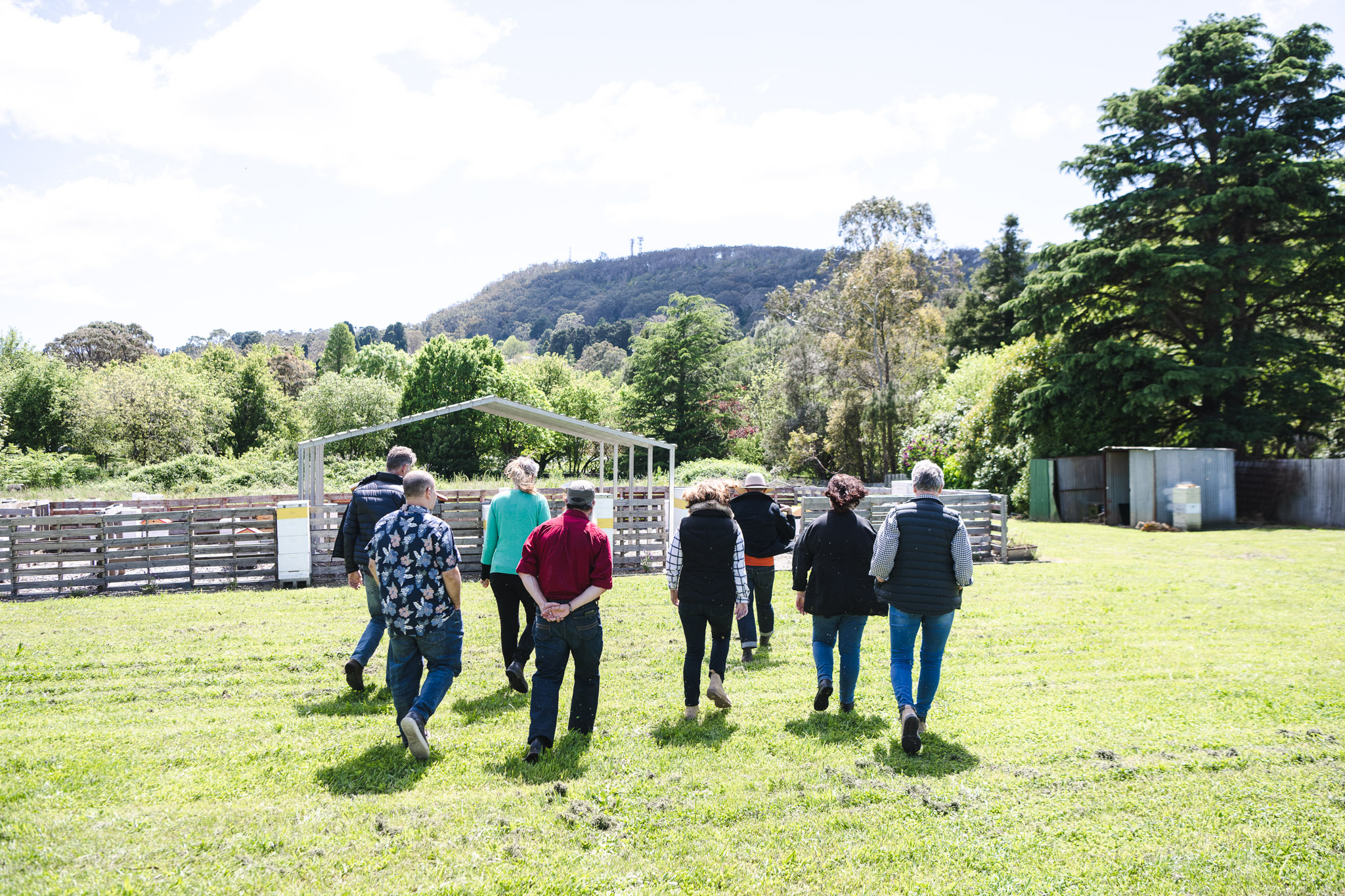 Honey Farm Tour and Honey Tasting