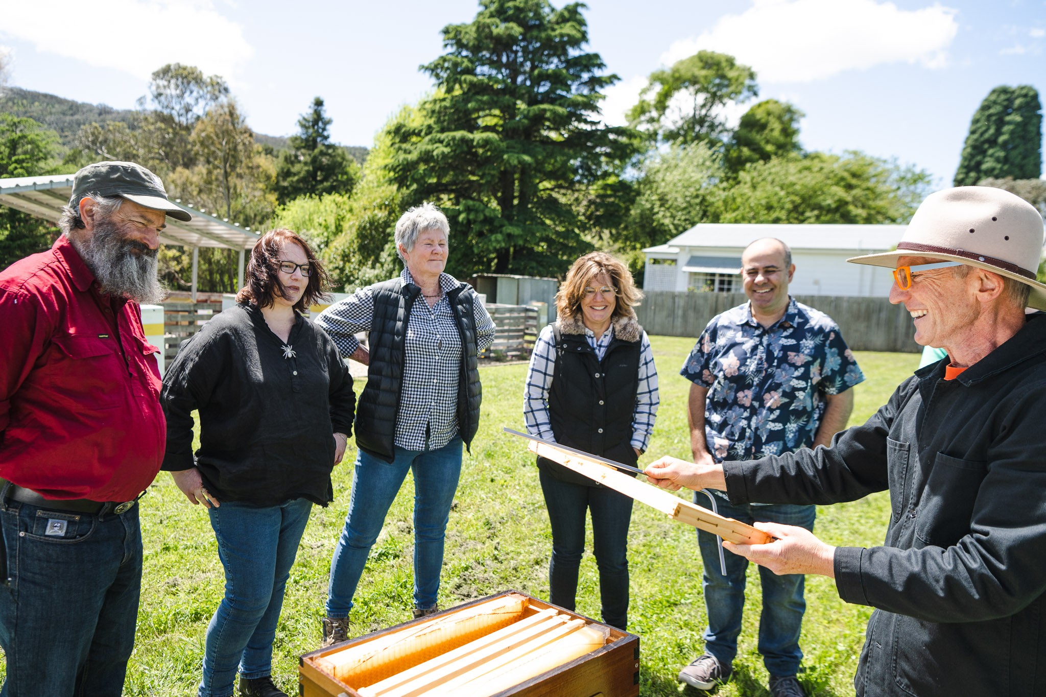 Honey Farm Tour and Honey Tasting