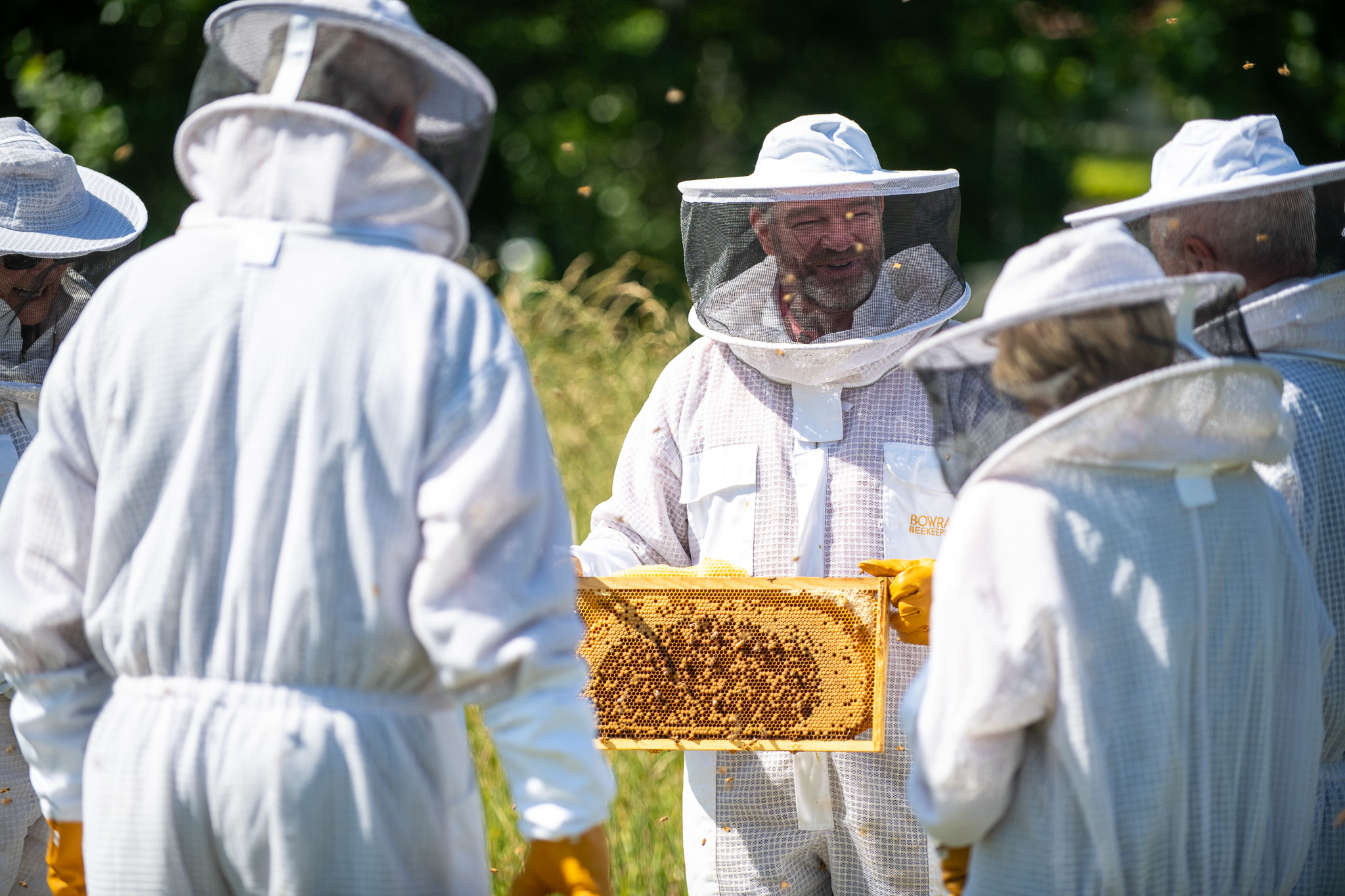 Honey & Hive. Open a hive, honey tasting with morning tea