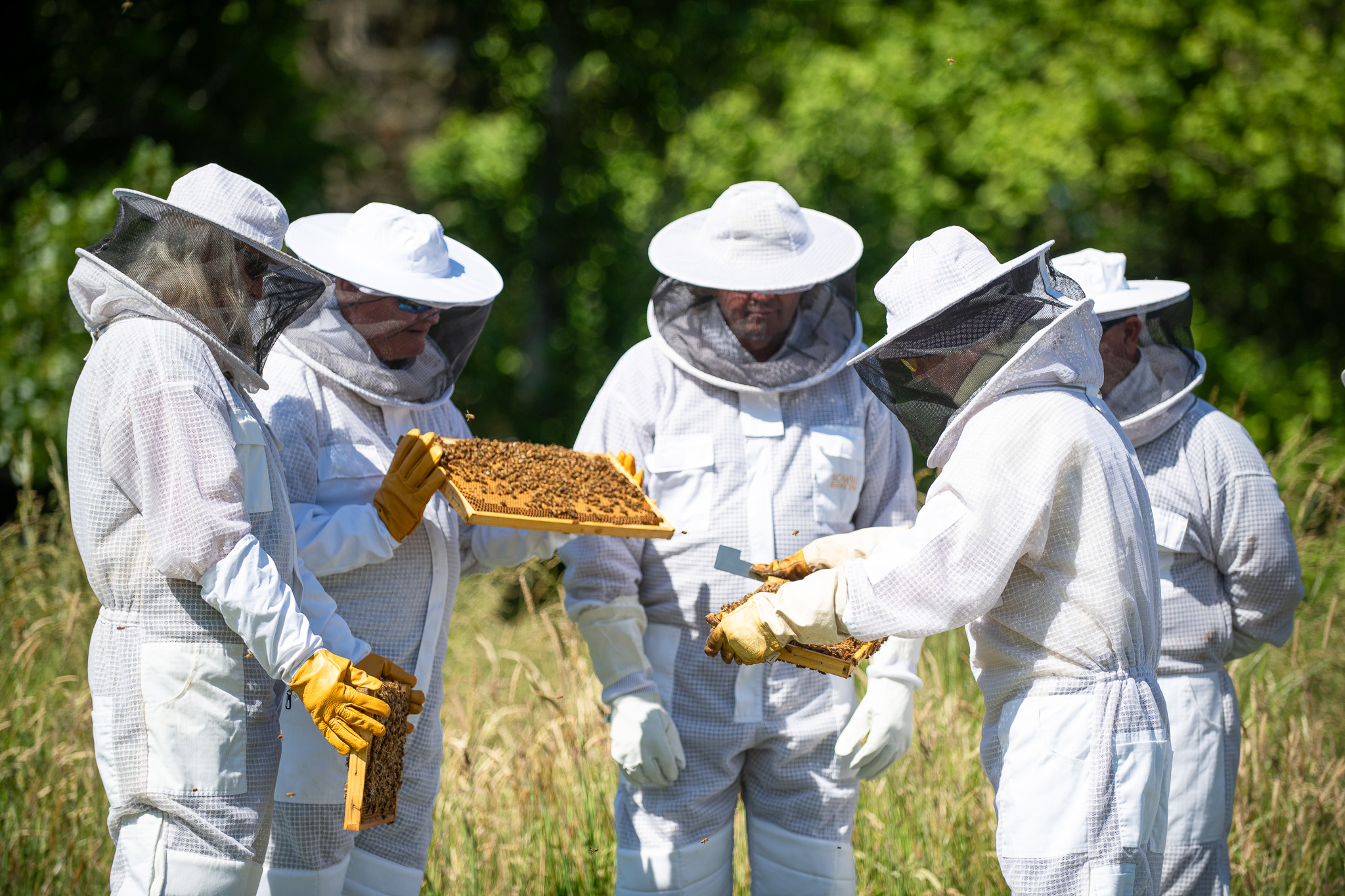 Honey & Hive. Open a hive, honey tasting with morning tea