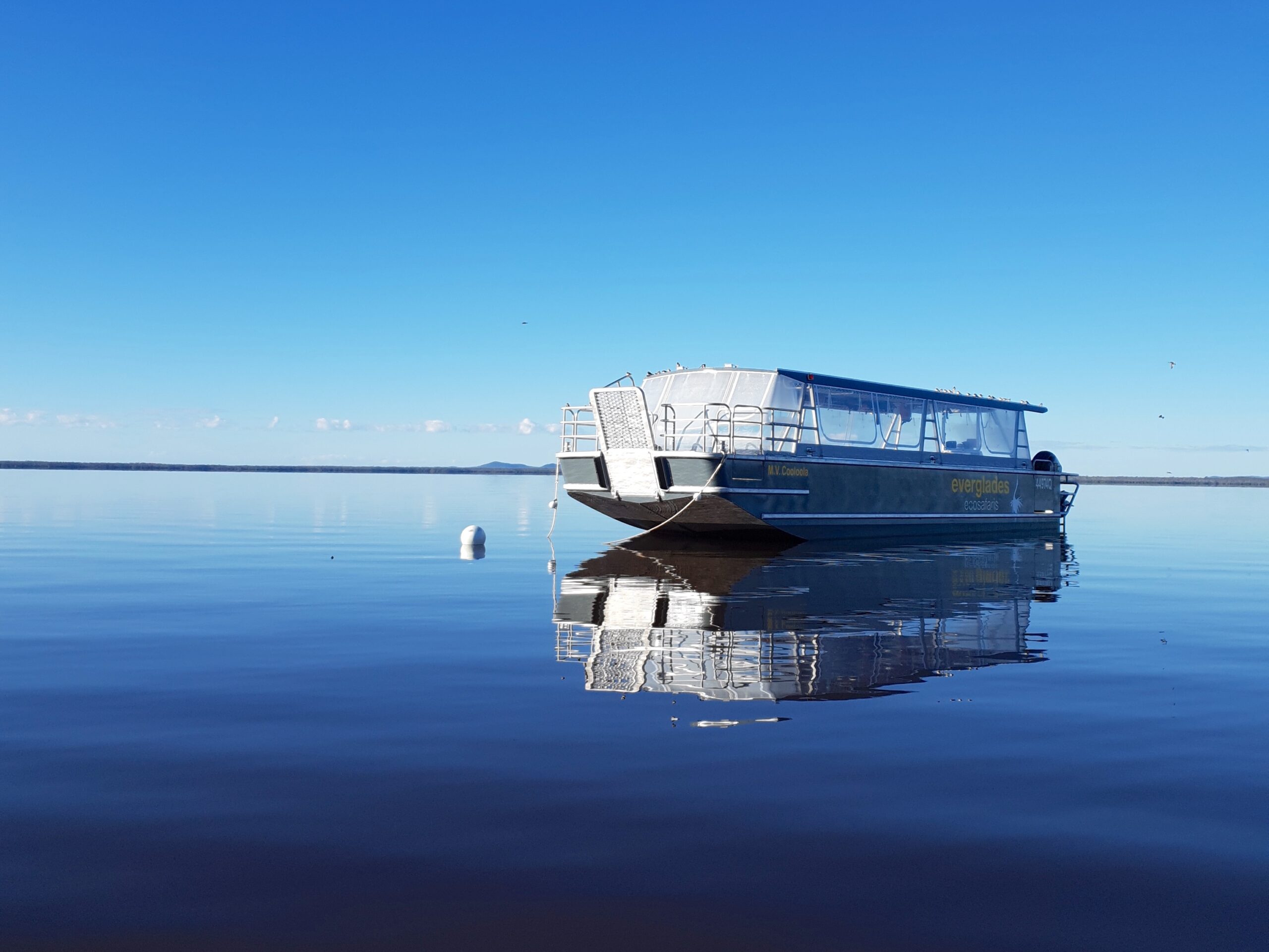 Eumundi Markets and Noosa Everglades Private Tour