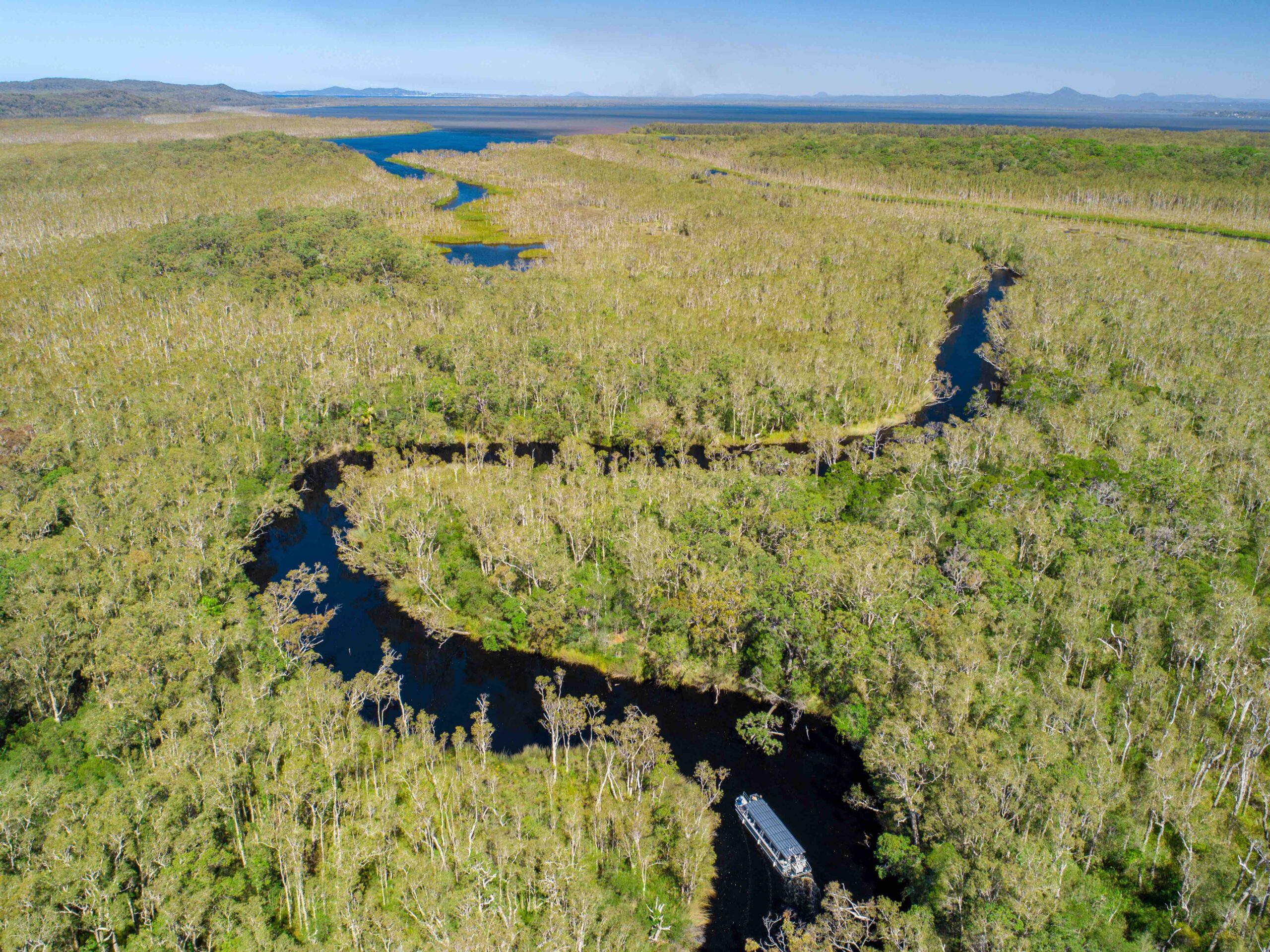 Noosa Everglades and Hinterland Private Tour