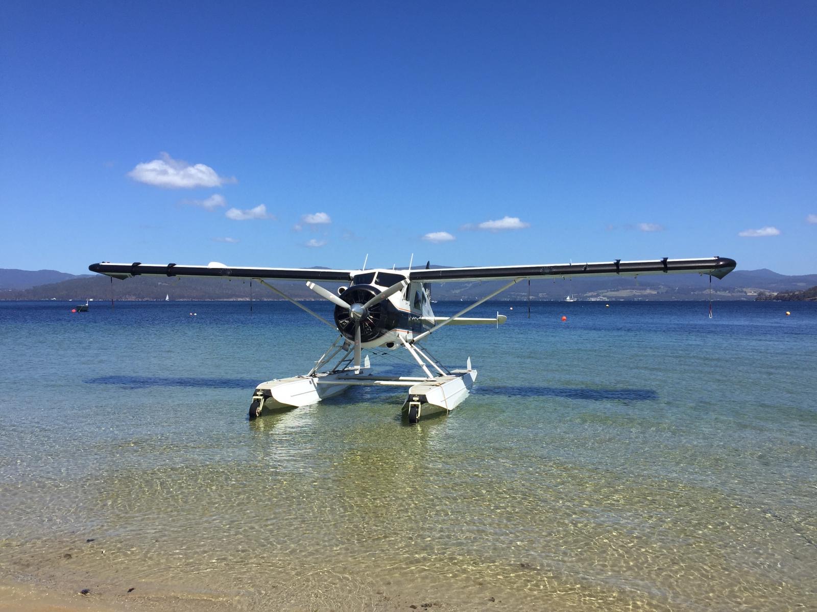 The Tassie Beach Picnic