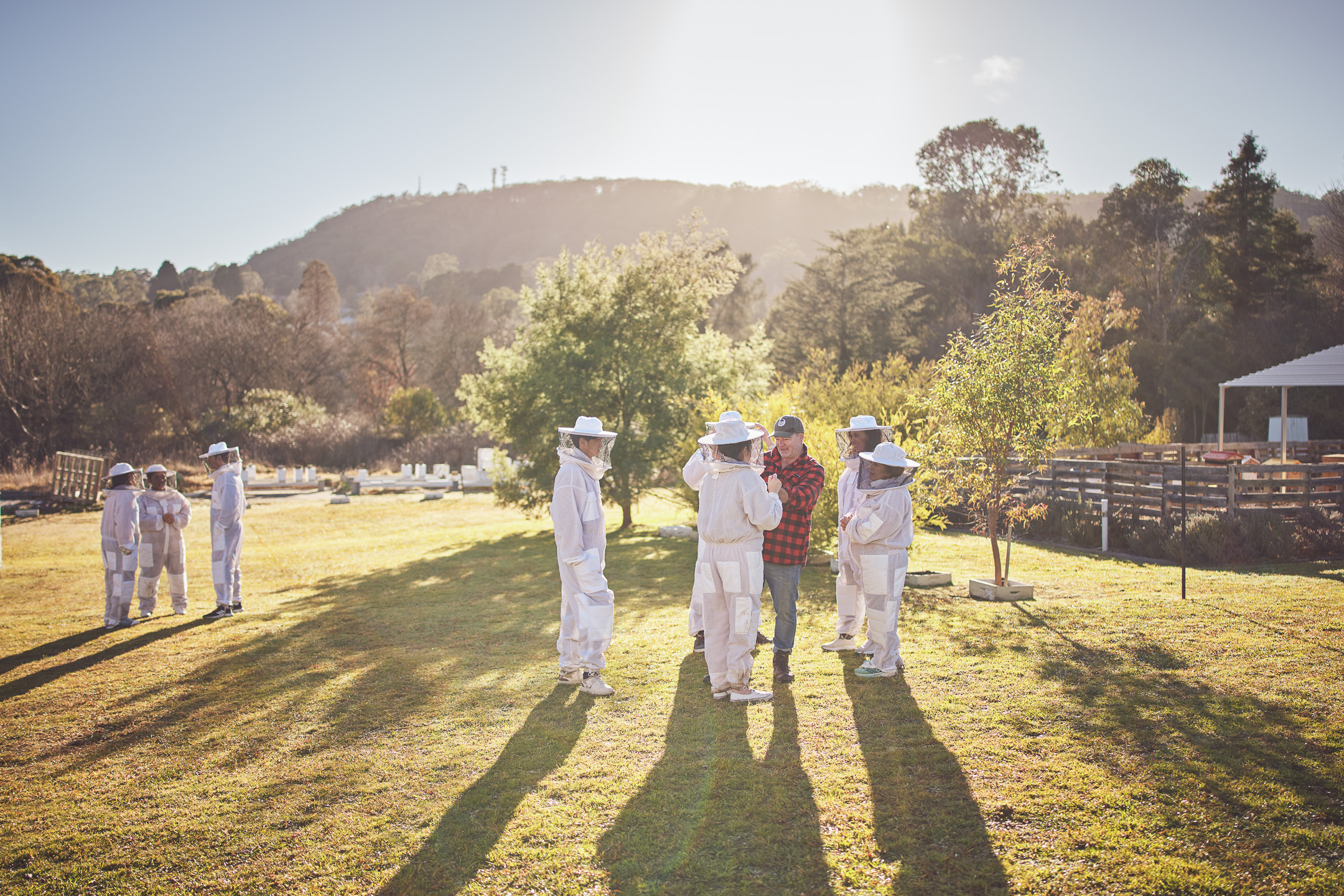 Honey & Hive. Open a hive, honey tasting with morning tea